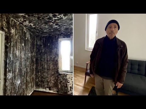 رجل يخسر شقته بسبب الإهمال وانتشار العفونة في الشقة