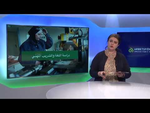 "السنة المكثفة -intensivår" للمهاجرين العاطلين عن العمل