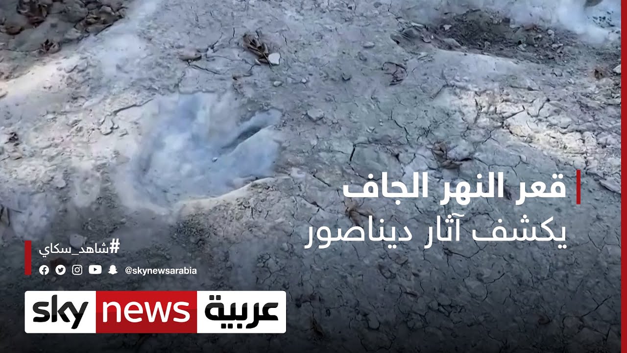 جفاف نهر يكشف آثار أقدام ديناصور عمرها 113 مليون عام | #شاهد_سكاي