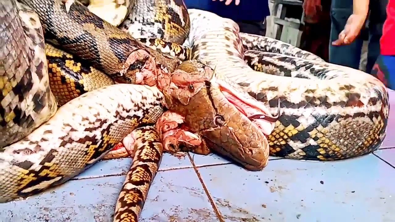 جولة في اكبر اسواق ووهان في الصين لا يخطر على بالك ما يبيعون... غريييب