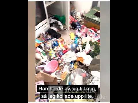 الشاب أمير أجّر شقته في Linköping “لامرأة” واستلمها مكباً للنفايات والعفن مع 15 قطةت