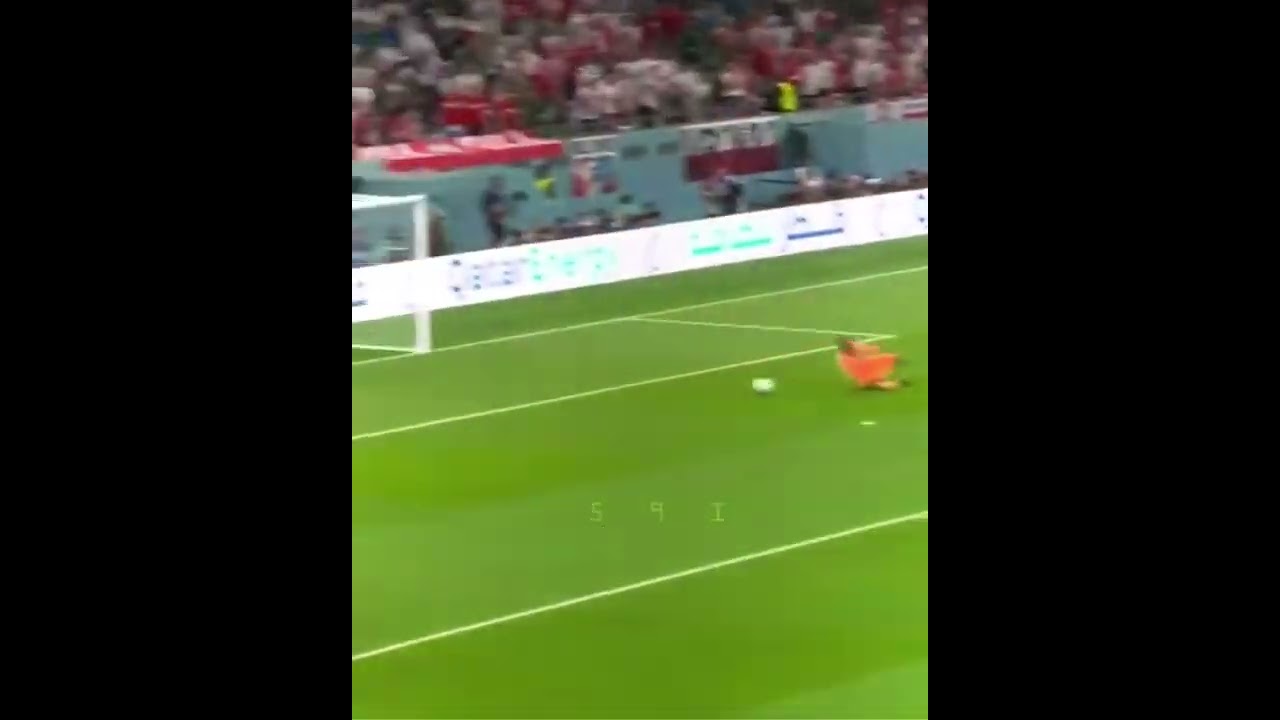 هدف بولندا الثاني على السعودية ليفاندوسكي 😥💔 تصميم فوز بولندا على السعودية 🥲💔💔