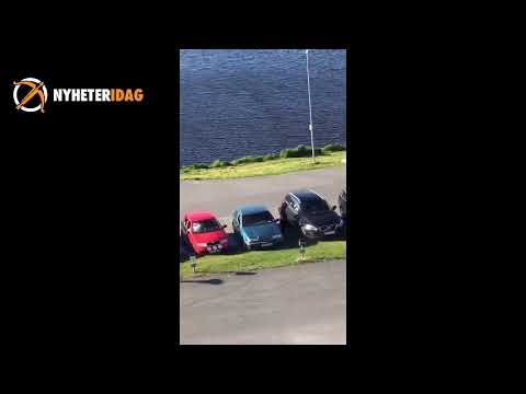 Vandal slår sönder bilar i Boden