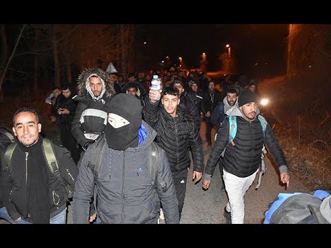 Türkiye AB kapılarını açtı, göçmenler Yunanistan'a akın etti