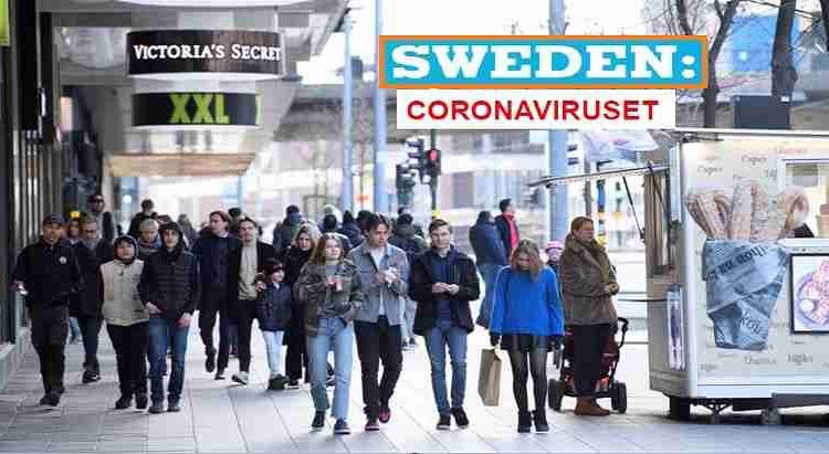 الحياة في السويد للمهاجرين Arab Trip