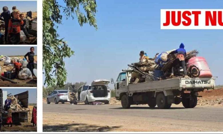 1000059960 1752766739 1