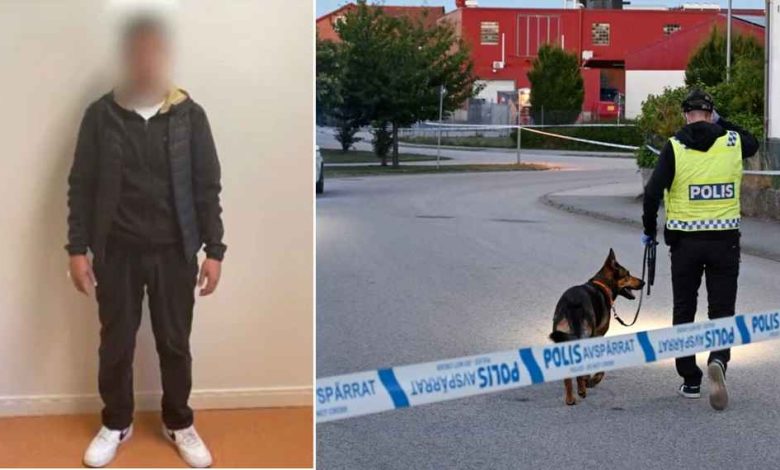 20e01b2a 14b1 4bcf 9dd0 4c74d0dd9001 1