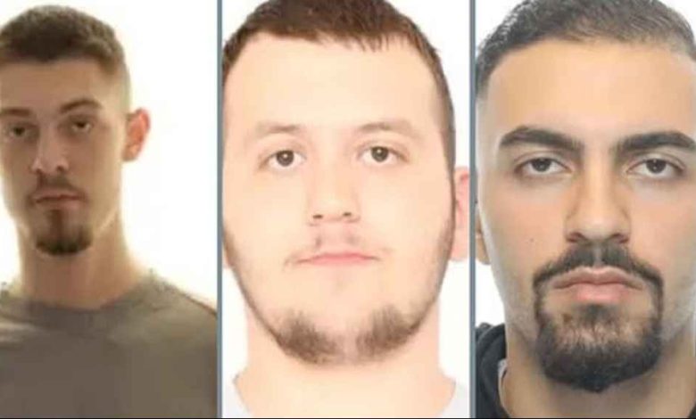 518326732 734310082541956 7471398033227280114 n 1