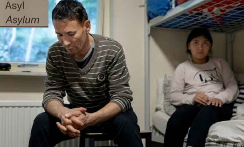 5274af4e a00a 4464 aa24 7e33b05f16d8 1