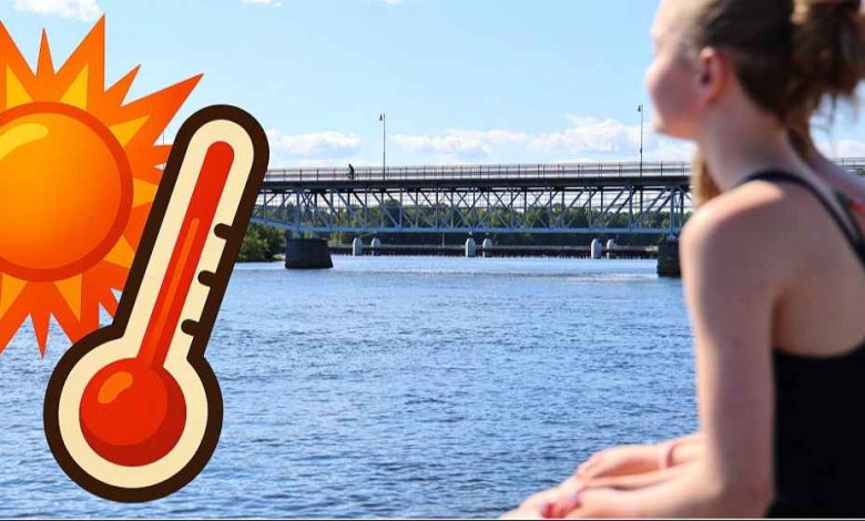 58337d8f 7d7d 4483 8f50 33d06734e825 1