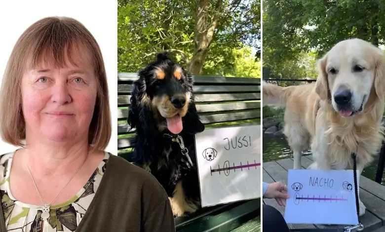 820f79e7 3de1 4cf9 9aa0 dc1089bc66f0 2