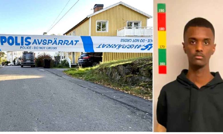 alkompis Ob SFJ7 0h 1024x576 1