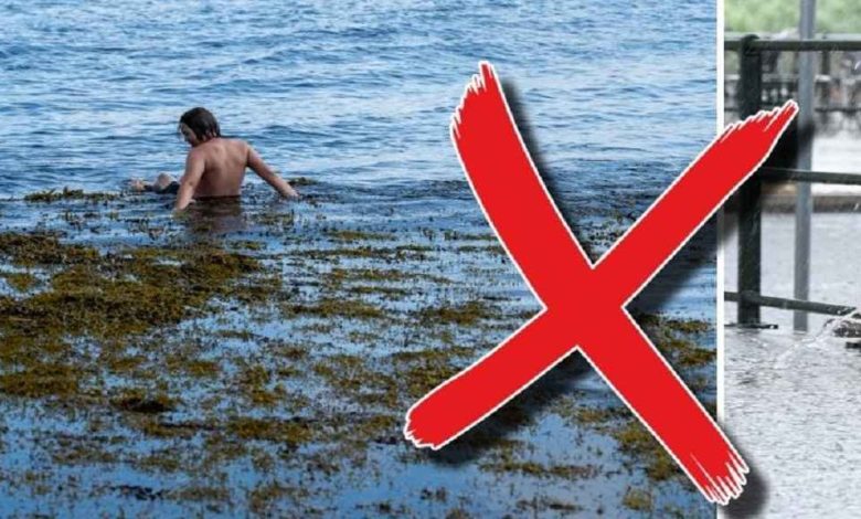 aska farligt platser 1