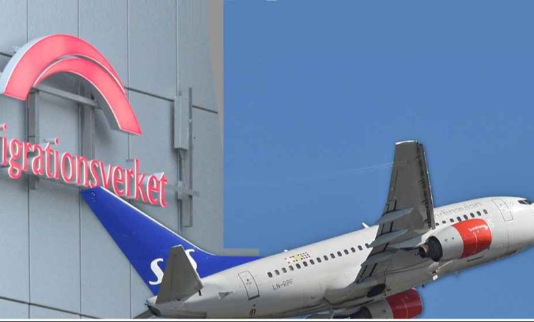 fokus medborgarskap feature 1