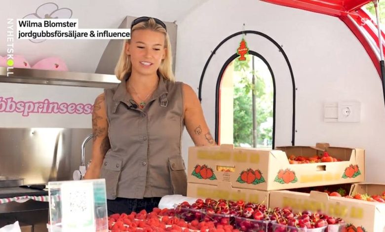 671e9895 7bf1 5f07 a24d 62dfe852e687 2