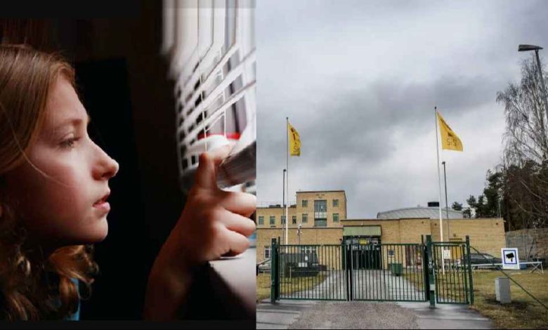 alkompis Qje5NdsYFu 1024x576 1