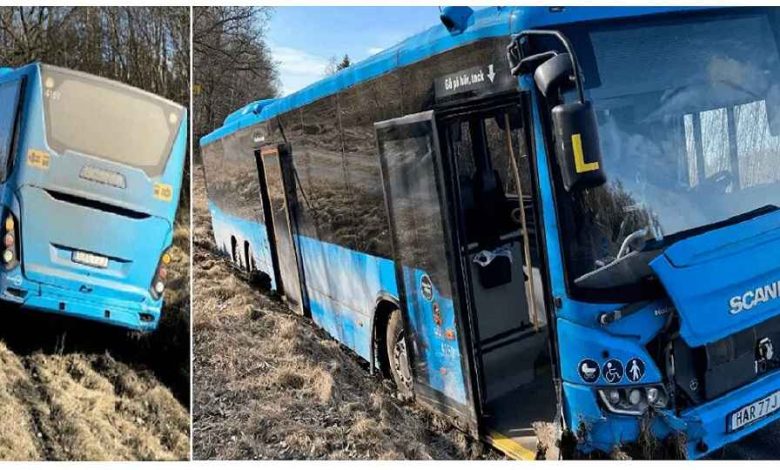 alkompis lzQnQhwIkh 1