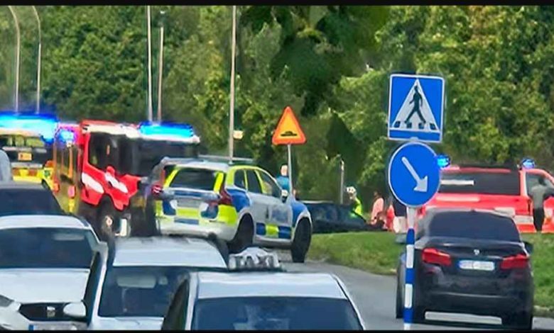 trapphusbarn oppnar dorr hero 1