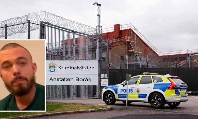 1Bal etiTuyyCcaYS lLy hDaEQ REGULAR 1