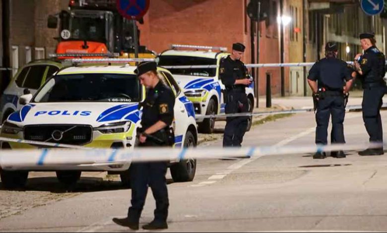 45764 1 articlelarge bn 967260 e6e71717dc20491ebe1cc059dd3c363c 1 1