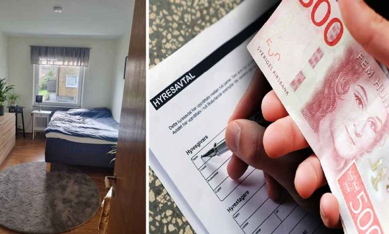 550308833 1225938382341123 726988143606453659 n 1