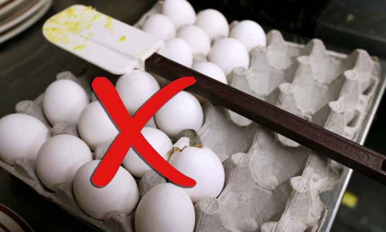 63f3e14de4b032a036acd45f 1676927495805 1