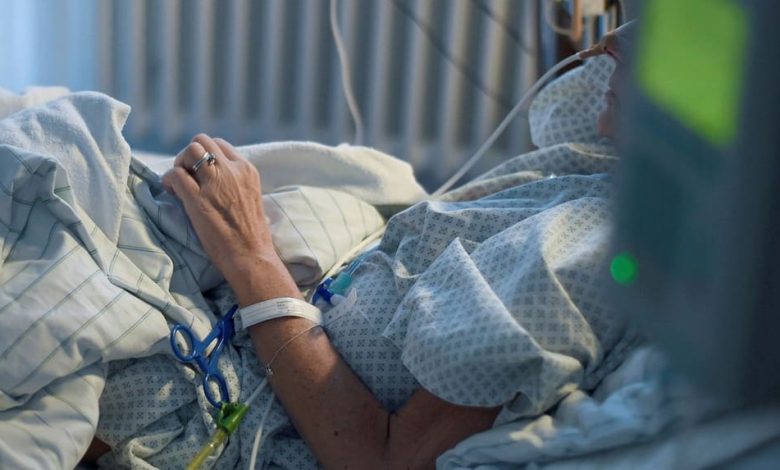 2517c040 3267 46fe 81da ba41fdfe6cd7