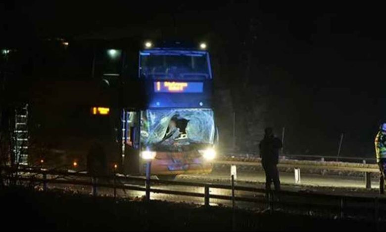 9ed8f400 a767 41c1 89c6 9d812b1dea29 1