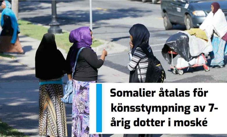 botesfallor vinter 2