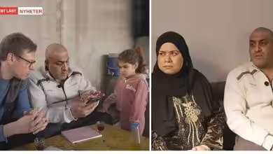 snapedit 1773456625632 1