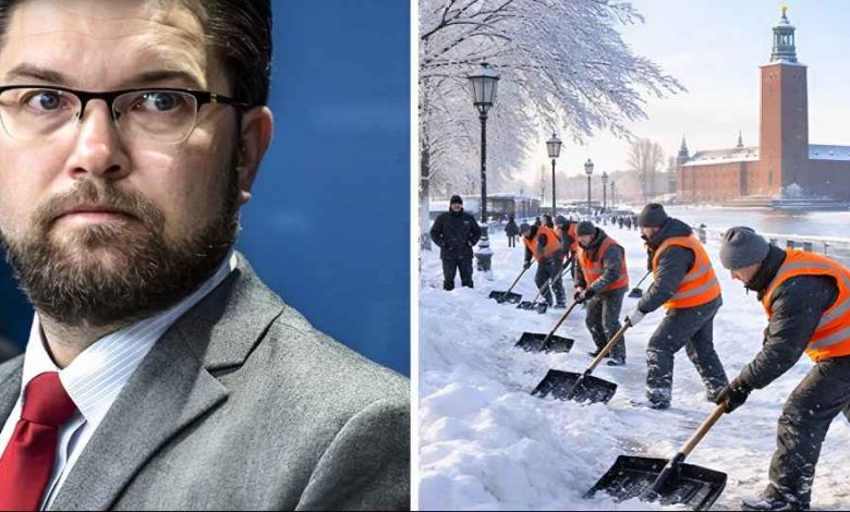 BetterImage 1768485438312 1