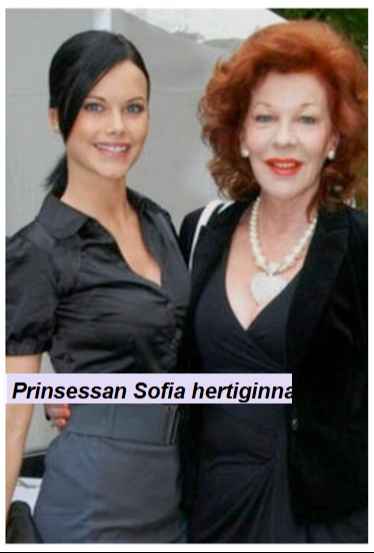 الأميرة صوفيا زوجة أبن ملك السويد تكسر صمتها بشأن إبستين «الحمد لله. كان هذا كل شيء» 2 1