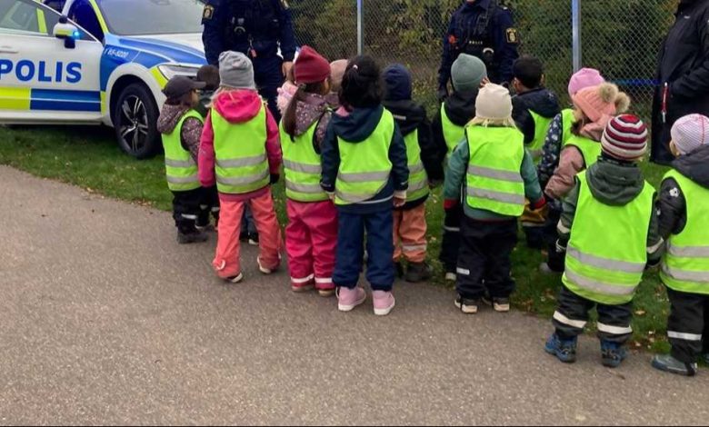 487227254 1052408040251773 1751378057760515760 n 1