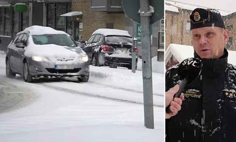 611597163 1309956397814359 2056403537072838109 n 1