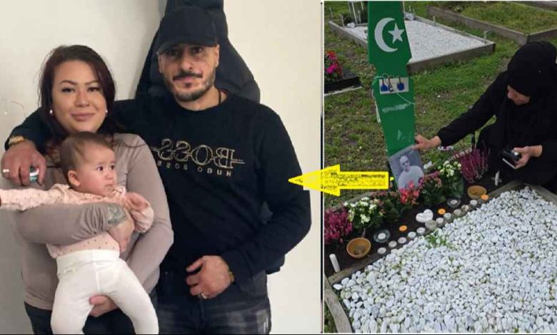 dd7ba1ed 9b43 4a15 9f6b fc000ee4d683 3