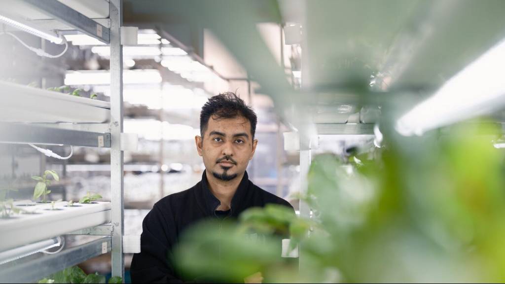 الشاب المهاجر "أبهى" داخل مزرعته