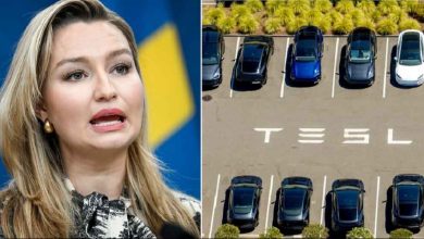 0F A h fulRrA83zfdNhNRD9RAiM REGULAR 1 1