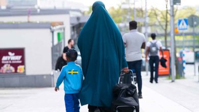 20231023071028 e714038aed78f49e5b0a4cfcda973d133eaea820cc736af5c796e3d2eed6d471 1