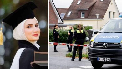 49b6d428cc0eef858fa5f14d 1