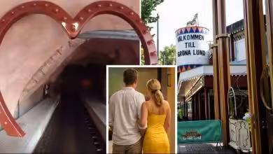 محاكمة زوجان مارسا الجنس في حديقة Gröna Lund بستوكهولم والكاميرات توثق الحادث! 5 54