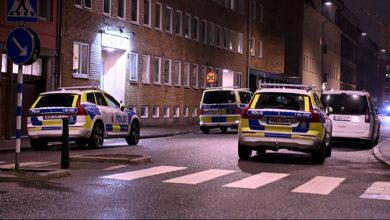 PPBRAK1 20251128 scaled 1