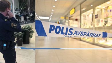 snapedit 1772980514797 1 1