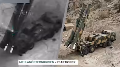 snapedit 1772999061195 1