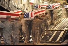 snapedit 1773101404083 1