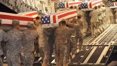 snapedit 1773101404083 1