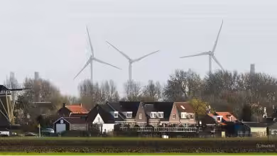 snapedit 1773420480247 1