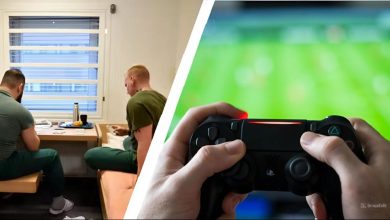 snapedit 1774127626379 1