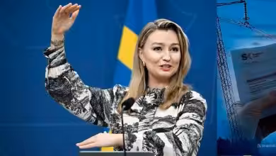 snapedit 1774473382805 1