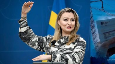 snapedit 1774473382805 1