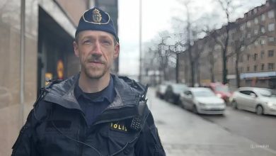 snapedit 1774635743959 1